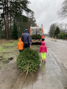Inzameling kerstbomen bij centraal punt